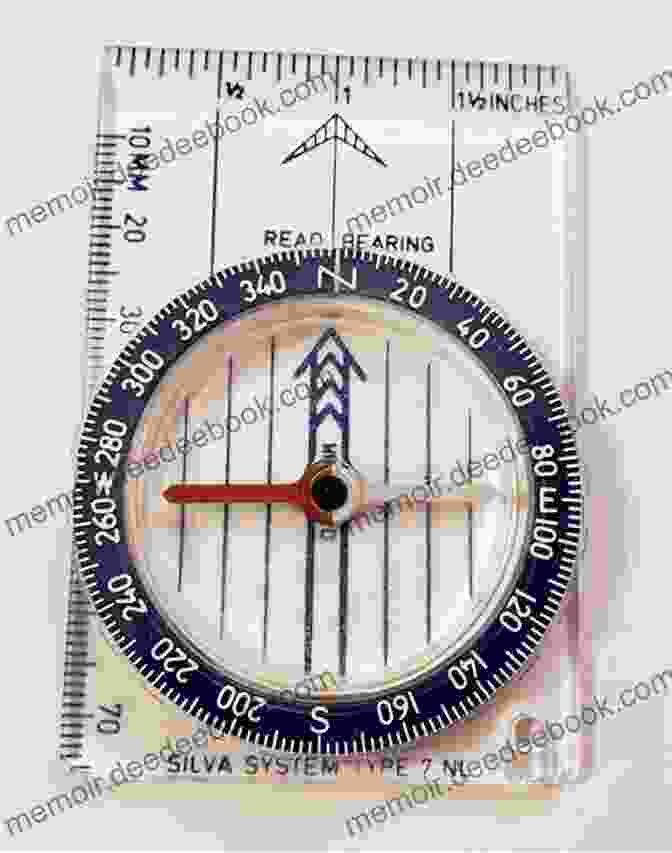 A Compass Pointing In A Specific Direction The Law Of Magnetism: Lesson 9 From The 21 Irrefutable Laws Of Leadership