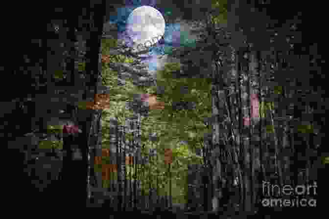 A Ethereal Image Of A Moonlit Forest, Symbolizing The Play's Enigmatic And Dreamlike Atmosphere. Many Moons (Modern Plays) Alice Birch