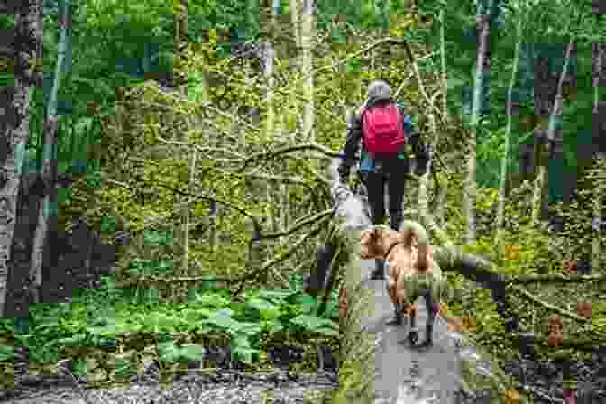 A Family Exploring A Hiking Trail With Their Dog, Enjoying The Beauty Of Nature The Best Days Are Dog Days