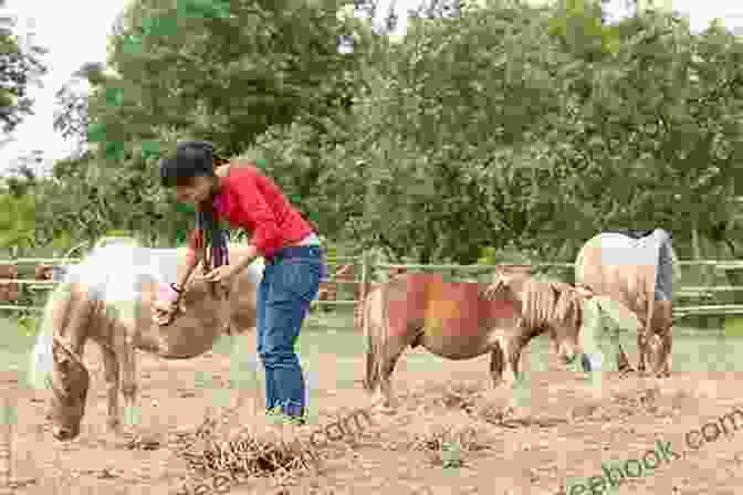 A Farmer Caring For Animals A Year On The Farm