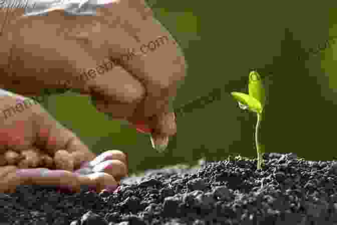 A Farmer Planting Seeds A Year On The Farm