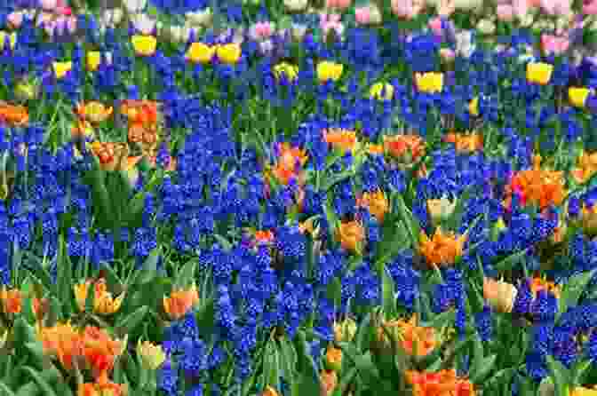 A Field Of Flowers Blooming In Vibrant Colors, With Birds Singing In The Background Summer: A Novel (Seasonal Quartet)