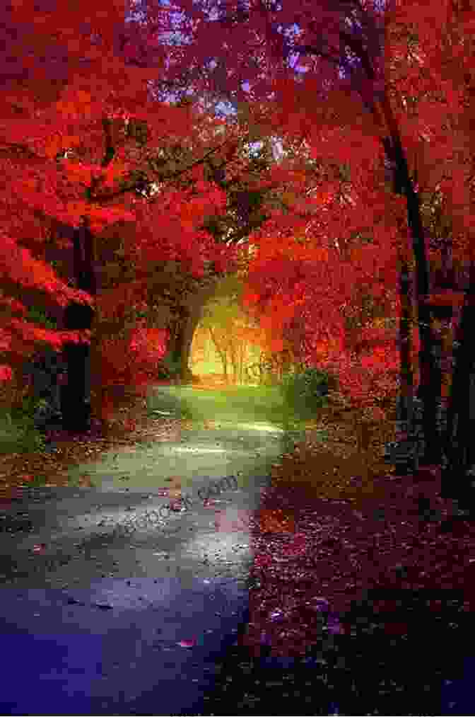 A Forest Of Trees With Golden And Crimson Leaves, And A Path Winding Through The Middle Summer: A Novel (Seasonal Quartet)