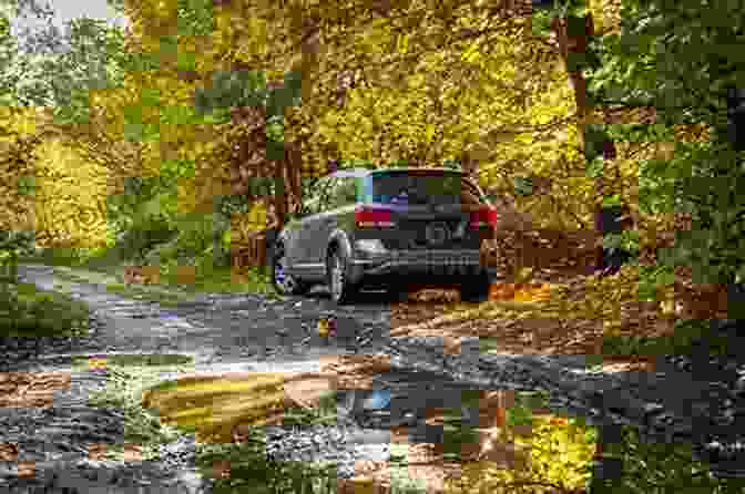 A Green Car Parked In A Forest. Colors Of Cars: Basic Colors