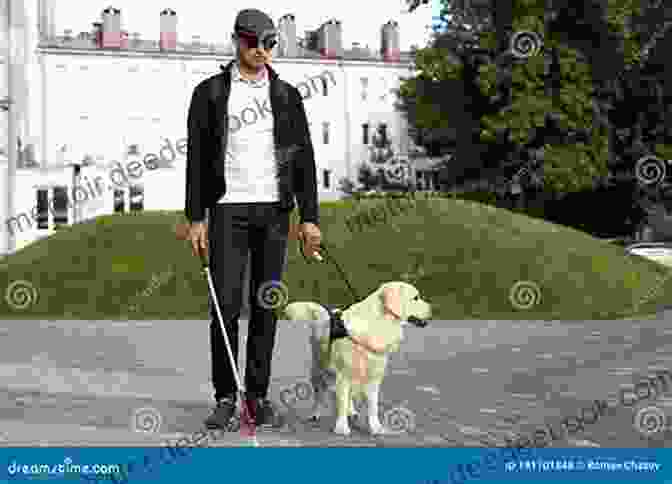 A Guide Dog Leading A Blind Person Down The Street The New Work Of Dogs: Tending To Life Love And Family