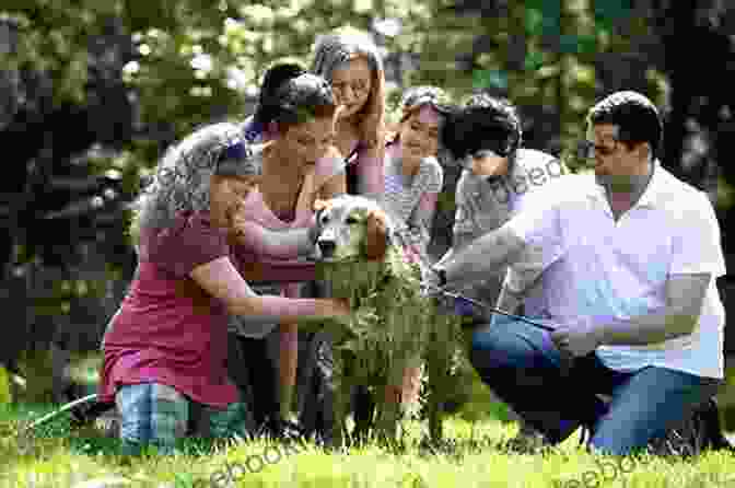 A Joyful Family Playing With Their Dog In A Park The Best Days Are Dog Days