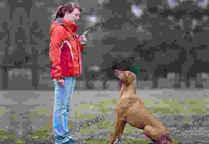 A Man Training His Service Dog, Teaching It How To Assist Him With Daily Tasks The Best Days Are Dog Days