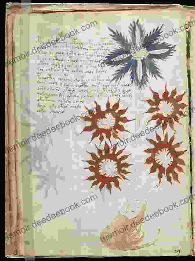 A Page From The Voynich Manuscript With Its Unknown Script And Botanical Drawings Leonardo And The Brotherhood Of The Holy Sword: Da Vinci S Cases