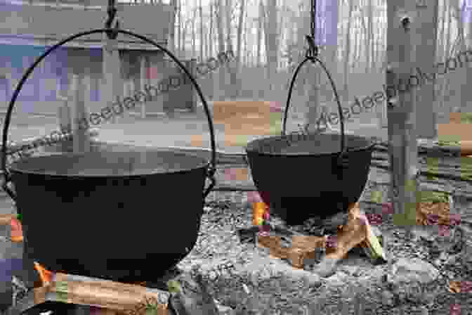 A Person Boils Maple Sap In A Large Pot Curious George Makes Maple Syrup (cgtv)