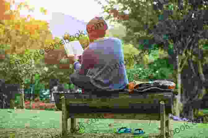 A Person Reading Photo Book 31 In A Serene Outdoor Setting, Surrounded By Lush Greenery And The Sound Of Flowing Water Forest And Sea (Photo Book 31)