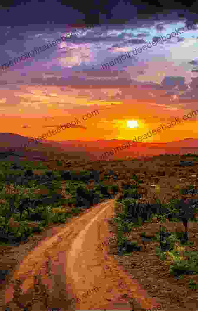 A View Of The South African Sunset South Africa In Images: 200 Images Describe South Africa