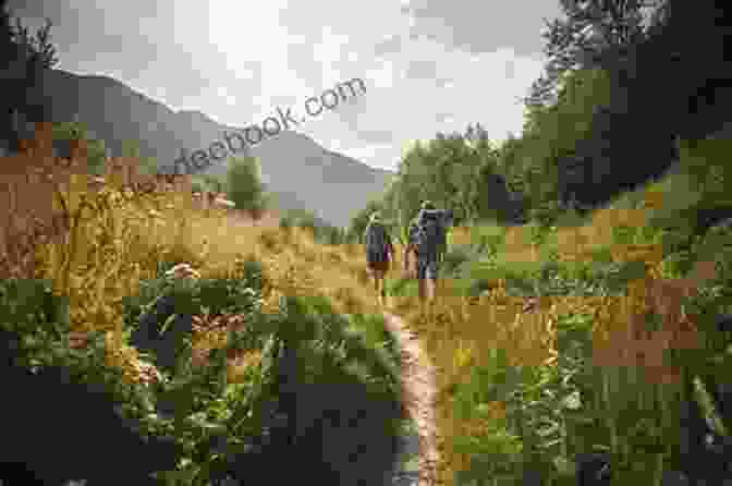 Adventure Seekers Trekking Through A Lush Forest The Himalayan Districts Of Kooloo Lahoul And Spiti