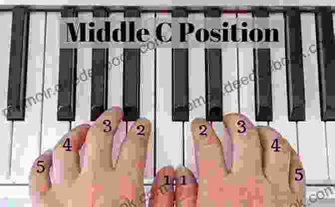 Diagram Of Piano Posture And Hand Position Alfred S Basic Piano Library Technic 3: Learn How To Play With This Esteemed Piano Method