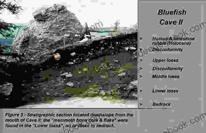 Excavation At The Bluefish Caves Over The Beringian Land Bridge: The Story Of Ironfist And Little Pumpkin