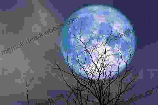 Image Of A Bright Blue Moon Rising Above A Landscape Blue Moon (A Howard Moon Deer Mystery 6)