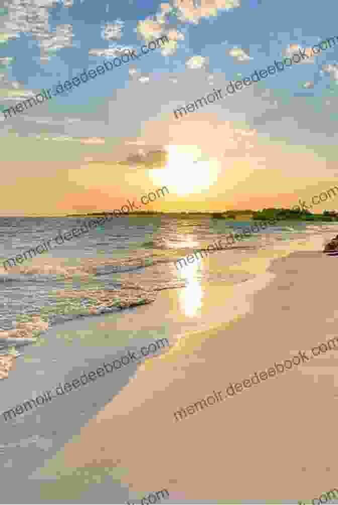 Sunrise Over A Tranquil Beach On Sea Island SEA ISLAND EXTENDED WILD BILL S JOURNAL: The Earth Watchers