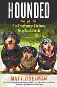 Hounded: The Lowdown On Life From Three Dachshunds