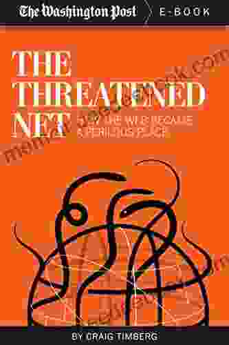 The Threatened Net: How The Web Became A Perilous Place