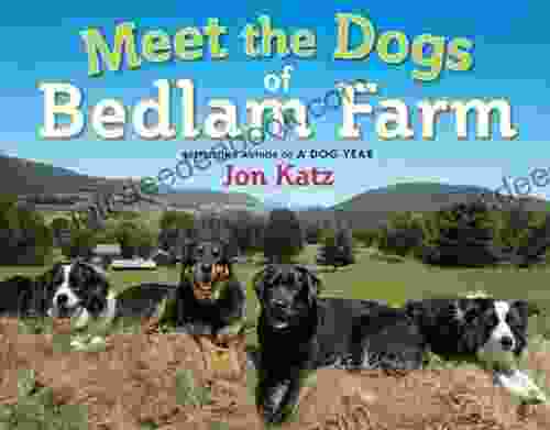 Meet The Dogs Of Bedlam Farm