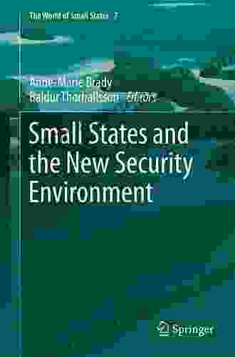 Small States and the New Security Environment (The World of Small States 7)