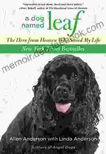 Dog Named Leaf: The Hero From Heaven Who Saved My Life (New York Times Best Seller)