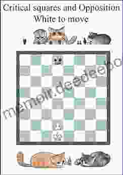 Opposition Critical Squares: The Most Important Chess Pattern A Chance To Win Draw Or Lose With The Right Move Just One: Can You Afford Not To Know How? (Chess Manual)