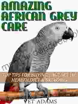 Amaazing African Grey Parrot Care